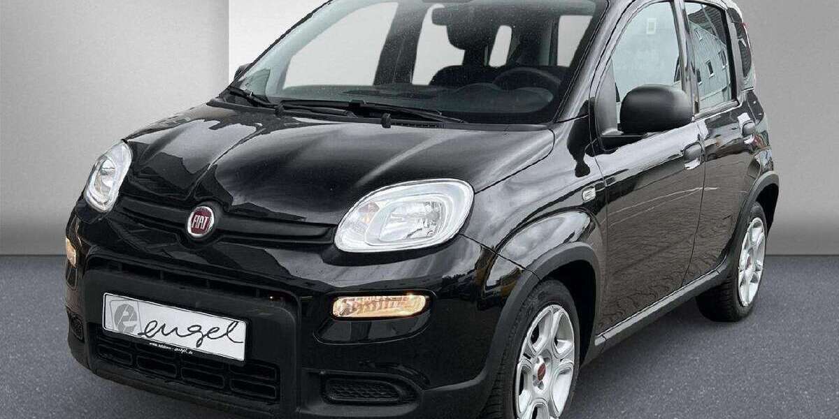 Fiat Panda 45.700 km 11.989 &euro; Wunsiedel 95632