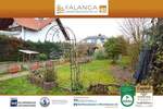 Grundstück Flonheim - 98.000&euro; | Angebot:25697552