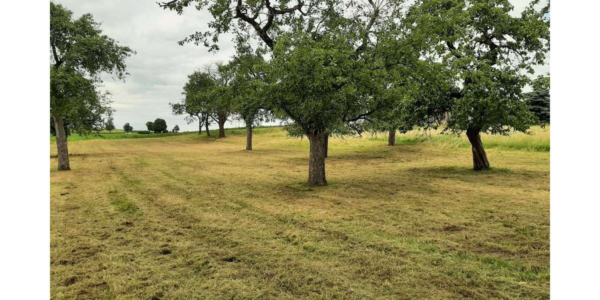 Grundstück Mühlingen - 195.000&euro; | Angebot:25143137