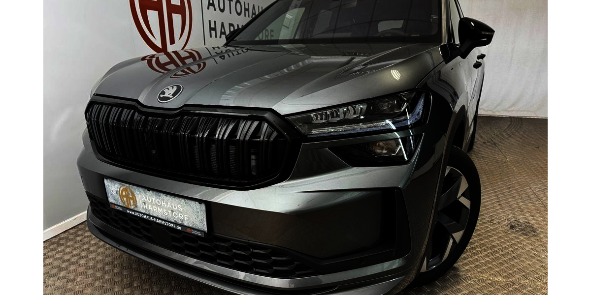 Skoda Kodiaq 1.050 km 48.490 &euro; Harmstorf/Hamburg 21228