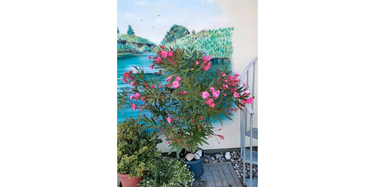 Ferienimmobilie Leipzig Mitte - 70&euro; | Angebot:25992950