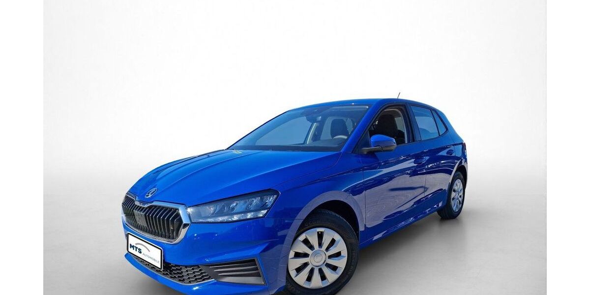 Skoda Fabia 29.851 km 12.150 &euro; Friedberg 61169