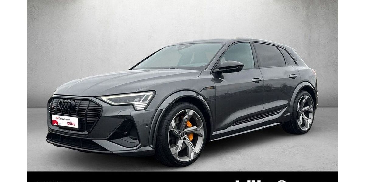 Audi e-tron 56.053 km 45.380 &euro; Mainz 55131