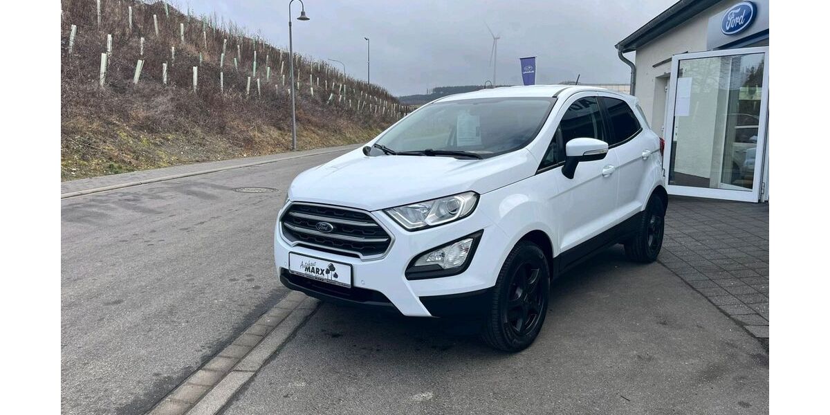 Ford EcoSport 87.900 km 9.990 &euro; Berglicht 54426
