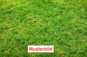 Grundstück zu verkaufen in München 1.650.000 € 680 m²