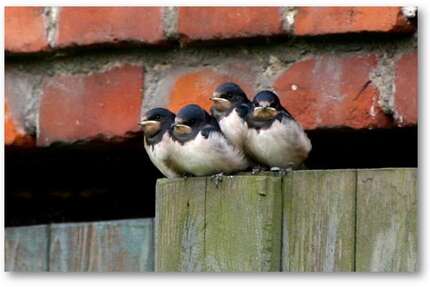 Haus Putlitz - 6 Zimmer, 165 m&sup2;, 549.000&euro; | Angebot:23247294