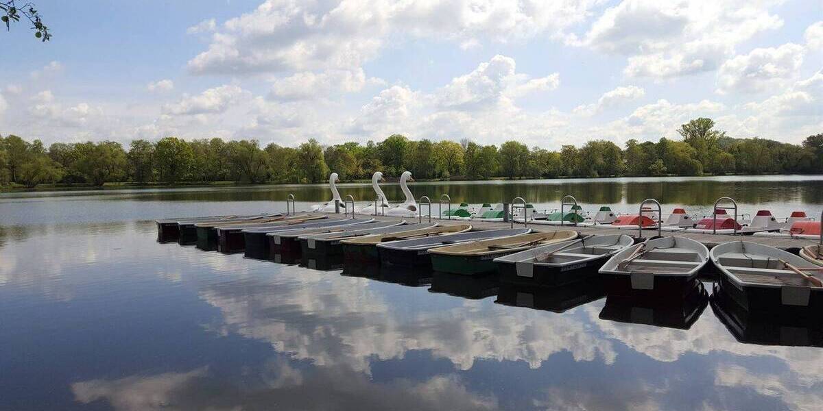 Etagenwohnung Zwickau Innenstadt - 2 Zimmer, 55 m&sup2;, 55.000&euro; | Angebot:25780738