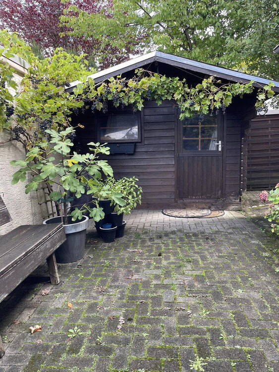 Attraktives Reihenendhaus mit EinliegerWohnung, Garten & Carport - Viel Platz für Familie & mehr