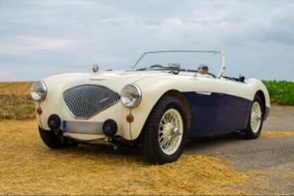 Austin Healey Andere