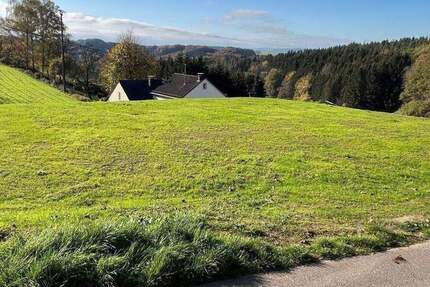 Grundstück Wißmannsdorf - 135.000&euro; | Angebot:25385631