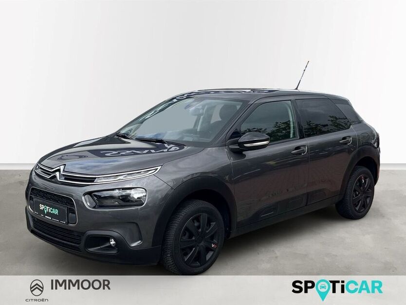 C4 Cactus