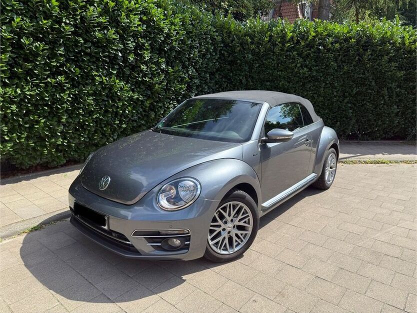 Beetle