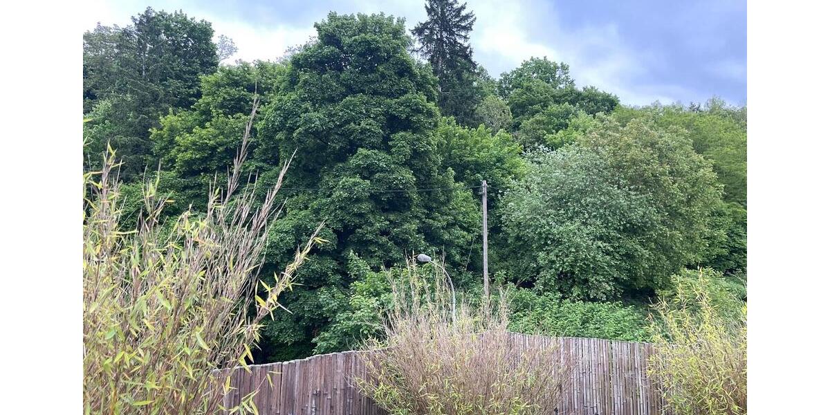 Dachgeschoßwohnung Merzig - 3.5 Zimmer, 65 m&sup2;, 800&euro; | Angebot:26549987
