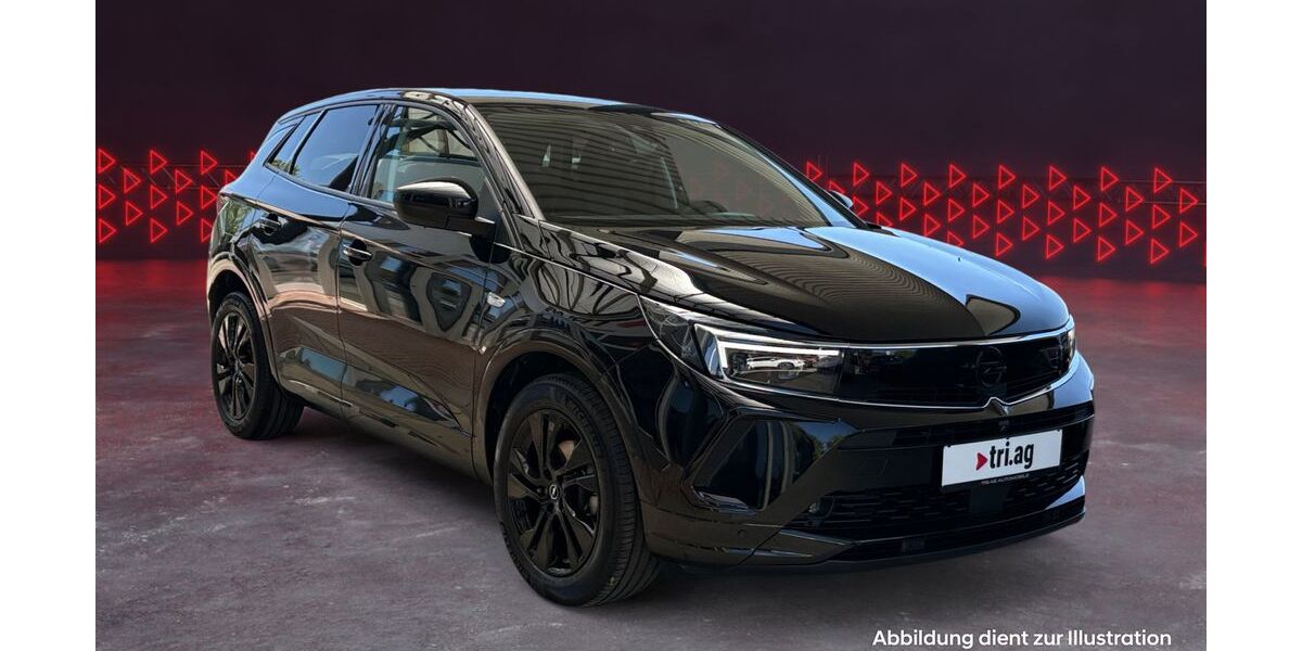 Opel Grandland (X) 38.074 km 27.990 &euro; Emmendingen 79312