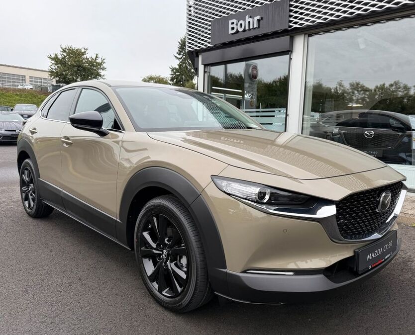 CX-30