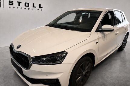 Skoda Fabia 6.690 km 18.490 &euro; Waldshut-Tiengen 79761