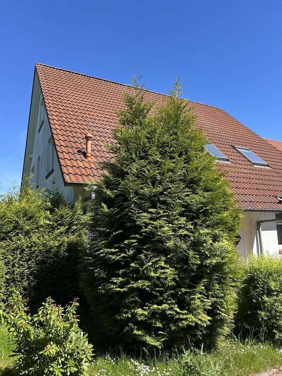 Haus zum Kaufen in Stadthagen 439.000 € 216 m²