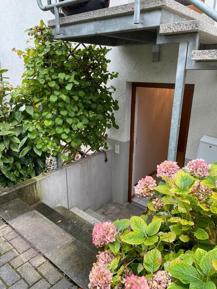 Geschmackvolle Wohnung mit zwei Zimmern in Müllheim zimmer