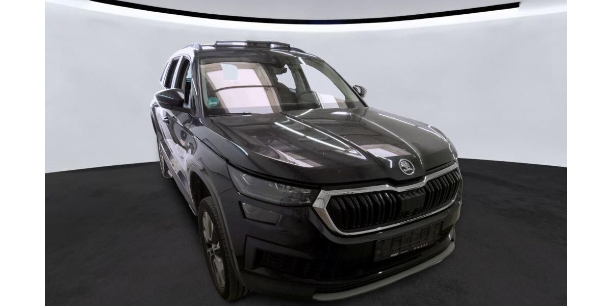 Skoda Kodiaq 192.000 km 24.490 &euro; Peine 31228