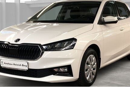 Skoda Fabia 18.852 km 14.950 &euro; Oldenburg / Holst. 23758