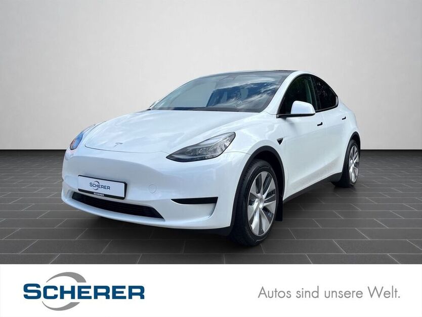 Model Y