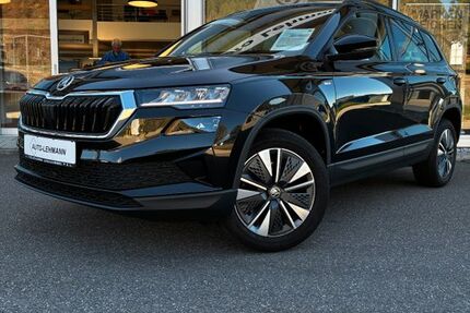 Skoda Karoq 31.661 km 24.990 &euro; Gutach 77793