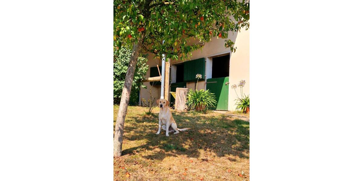 Einfamilienhaus Birkenfeld - 860.000&euro; | Angebot:26266442