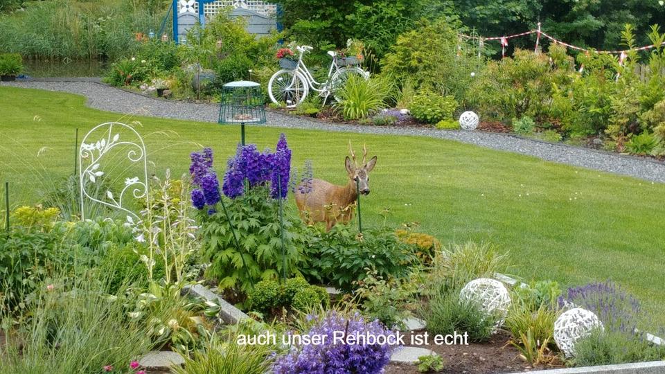 Einfamilienhaus Cuxhaven Groden - 495.000&euro; | Angebot:27226750