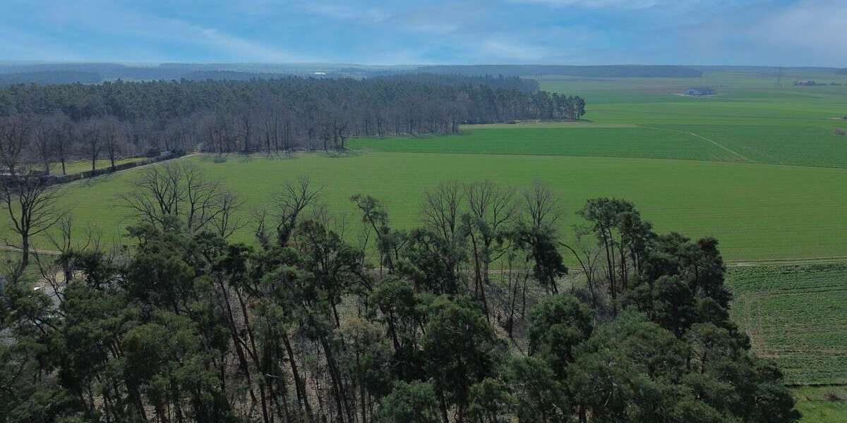 Einfamilienhaus Stein bei Nürnberg - 7 Zimmer, 154 m&sup2;, 697.000&euro; | Angebot:26309135