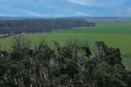 Haus Stein bei Nürnberg - 7 Zimmer, 154 m&sup2;, 697.000&euro; | Angebot:26309135