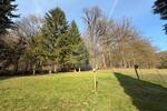 Einfamilienhaus Grafenau Jägerreith - 4 Zimmer, 140 m&sup2;, 349.000&euro; | Angebot:26082869