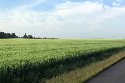 Grundstück Wiesenburg/Mark Wiesenburg - 106.118&euro; | Angebot:25669781