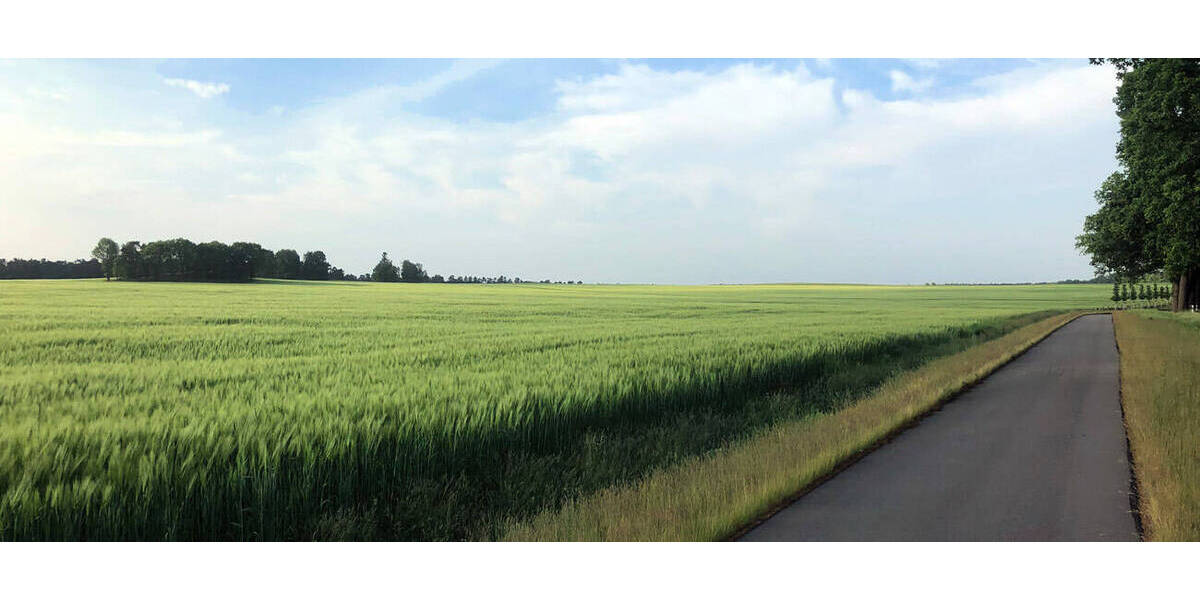 Grundstück Wiesenburg/Mark Wiesenburg - 106.118&euro; | Angebot:25669781