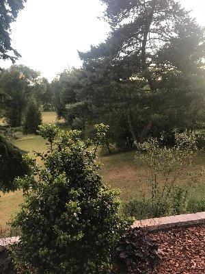 Doppelhaushälfte Guben - 5 Zimmer, 121 m&sup2;, 195.000&euro; | Angebot:26329409
