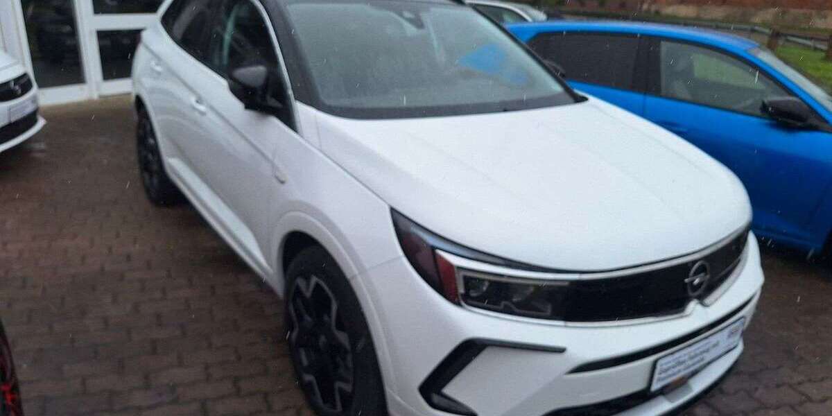 Opel Grandland X 11.480 km 23.490 &euro; Hergisdorf 06313