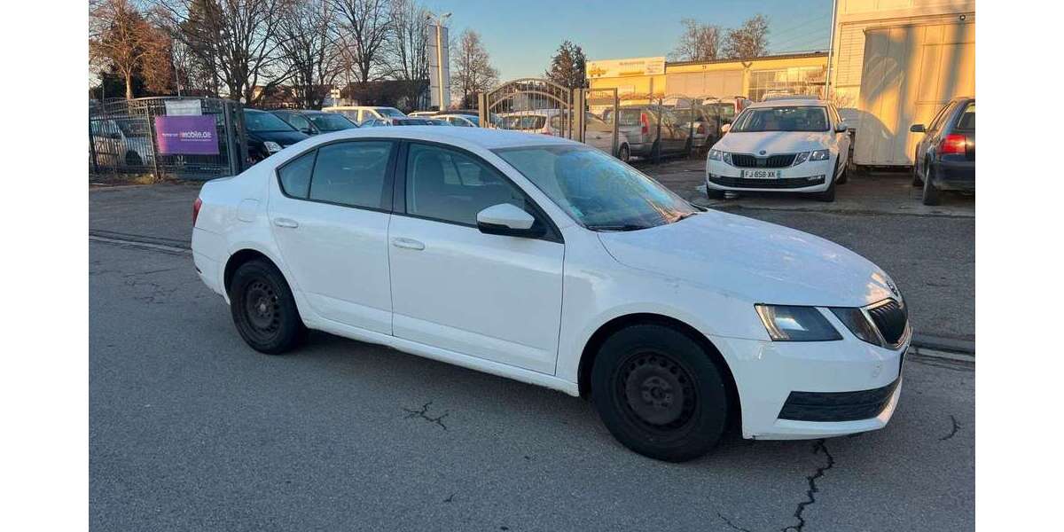 Skoda Octavia 460.000 km 5.000 &euro; Lahr-Langenwinkel 77933