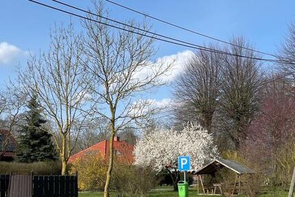 Wohnung Steinhagen - 4 Zimmer, 105 m&sup2;, 1.260&euro; | Angebot:25331674