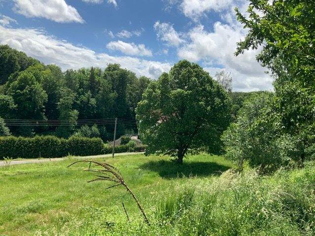 Grundstück Tiefenort Oberrohn - 150.000&euro; | Angebot:23833467