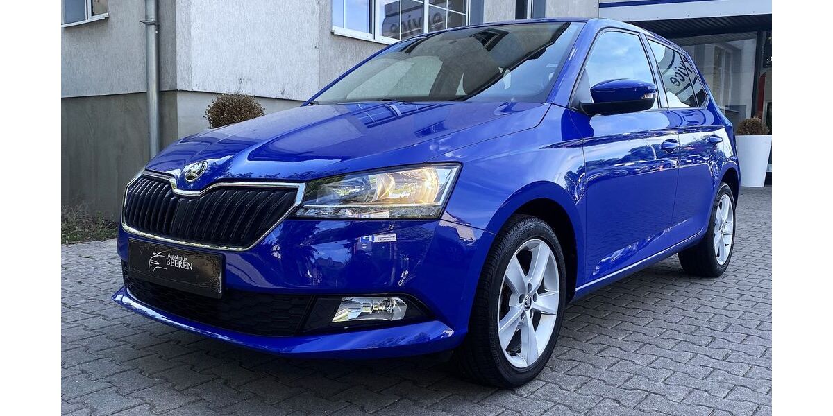 Skoda Fabia 63.963 km 9.490 &euro; Rathenow 14712