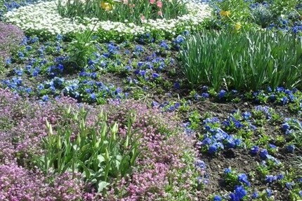 Landhaus mit dem gewissen Flair 1 zimmer
