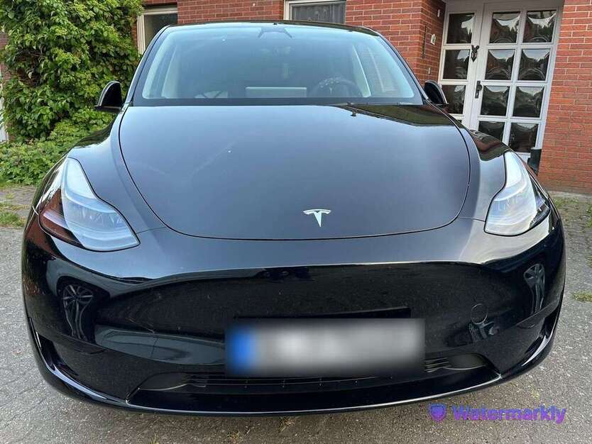 Model Y
