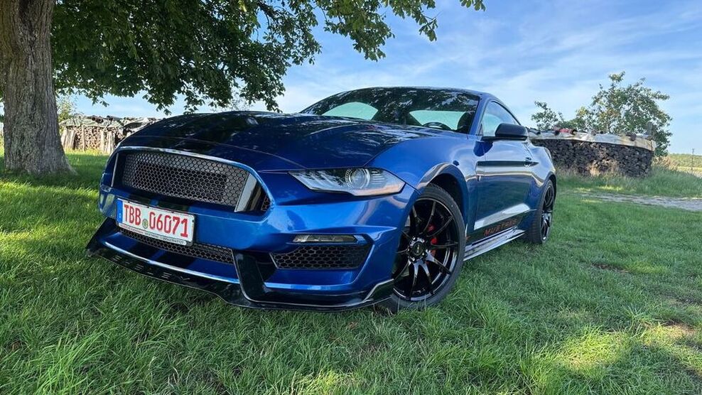 Mustang