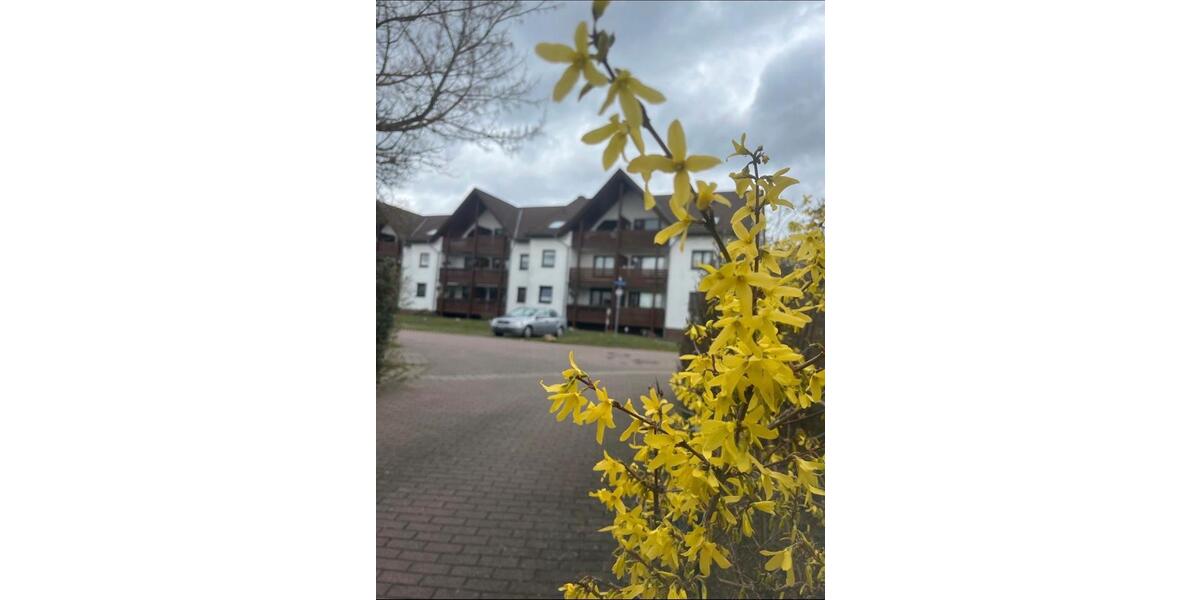 Dachgeschoßwohnung Teutschenthal - 2 Zimmer, 54 m&sup2;, 400&euro; | Angebot:24663636