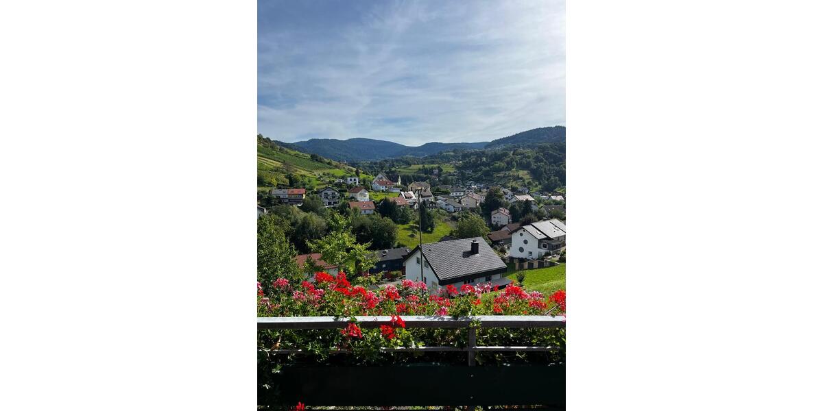 Einfamilienhaus Bühlertal - 6 Zimmer, 200 m&sup2;, 920.000&euro; | Angebot:26531891