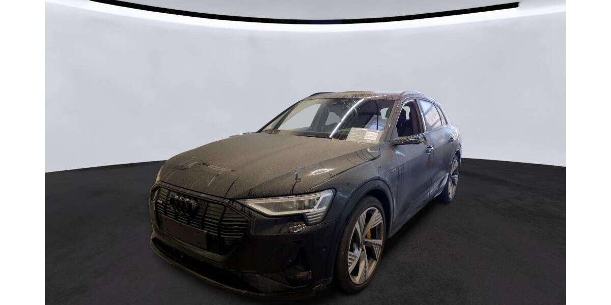 Audi e-tron 46.266 km 40.320 &euro; Hagen 58091