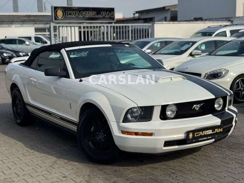 Mustang