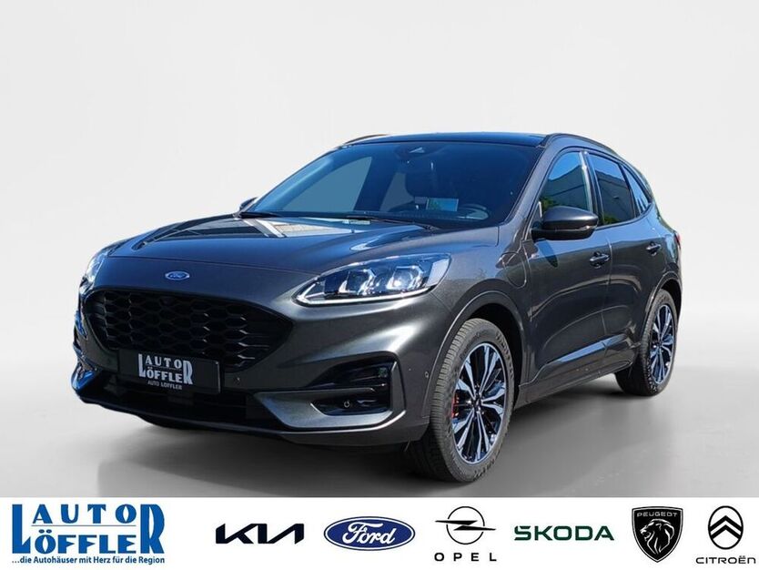Kuga
