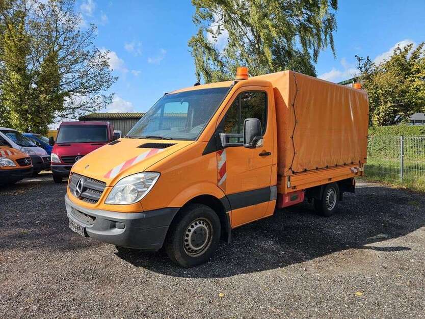 Sprinter