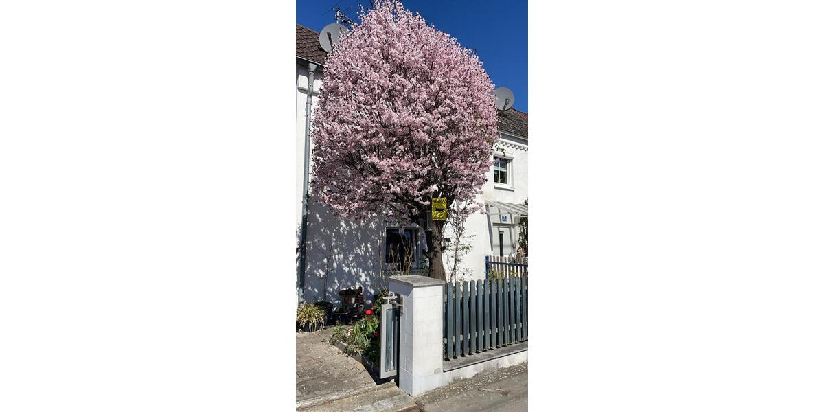 Reihenhaus Landau an der Isar - 4 Zimmer, 81 m&sup2;, 285.000&euro; | Angebot:26393864