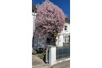 Reihenhaus Landau an der Isar - 4 Zimmer, 81 m&sup2;, 285.000&euro; | Angebot:26393864